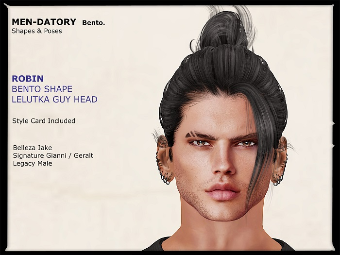 ROBIN SHAPE FOR LELUTKA GUY HEAD