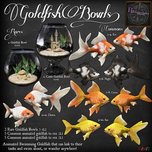 Gacha Extra - *HEXtraordinary* - #5 Fantail Goldfish Night