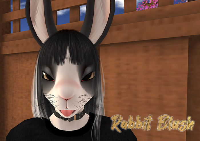 .::F::. Rabbit Blush Applier