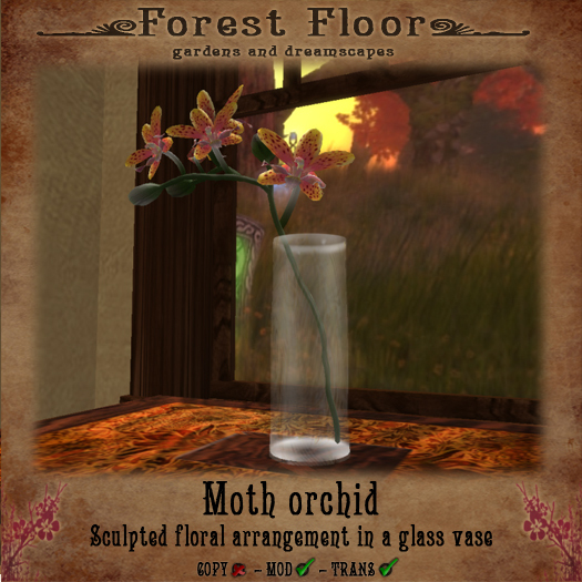 ~*FF*~ Moth Orchid - Raw Sienna