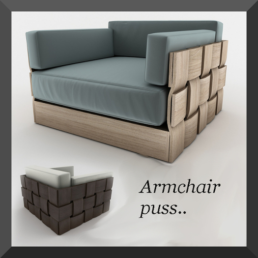 Armchair puss..
