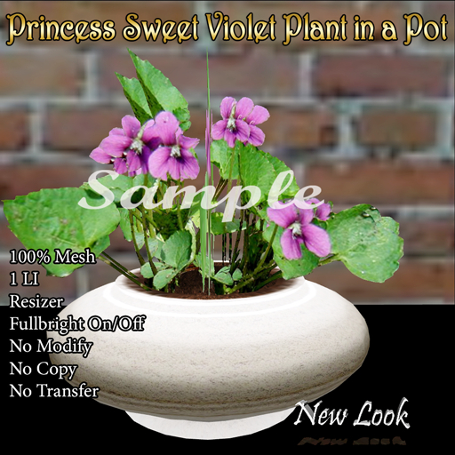 Princess Sweet Violet Plant in a Pot - 1LI Mesh 100% with Resizer & Fullbright On/Off