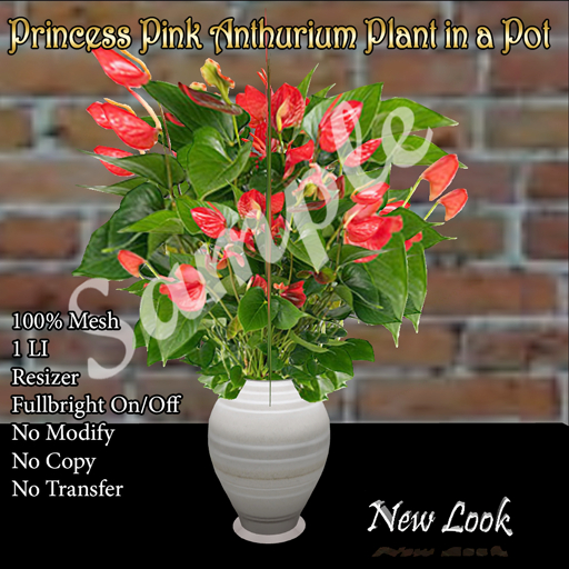 Princess Pink Anthurium in a Pot - 1 LI Mesh 100% with Resizer and Fullbright Option 