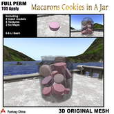 FC- FP Mesh Macarons Cookies in A Jar 