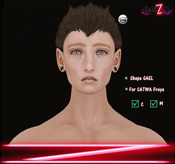 EcHIZEN ( GAEL ) Shape CATWA Freya