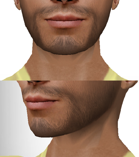 Beard S 11