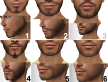 PROMO - 30% MEGAPACK II : 6 BEARDS + 2 bonus