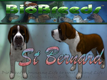 BioBreeds (BB) Dog FEMALE Saint Bernard (SB) STARTER (Boxed)