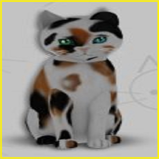 KittyCatS Box - New Born Kitten