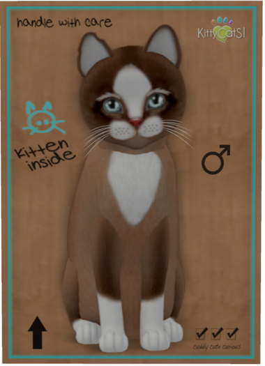 KittyCatS Box - Chateau Cat - Toffee Caramel