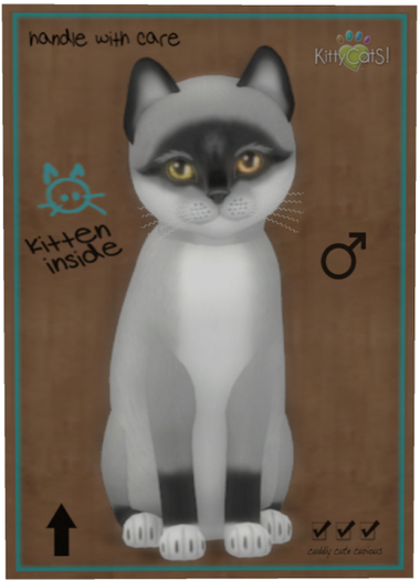 KittyCatS Box - Foxie - Salt & Pepper Mask