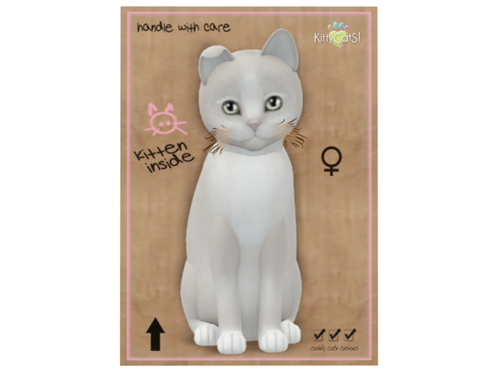 KittyCatS Box - 5 T - F - Genesis - Pearl II