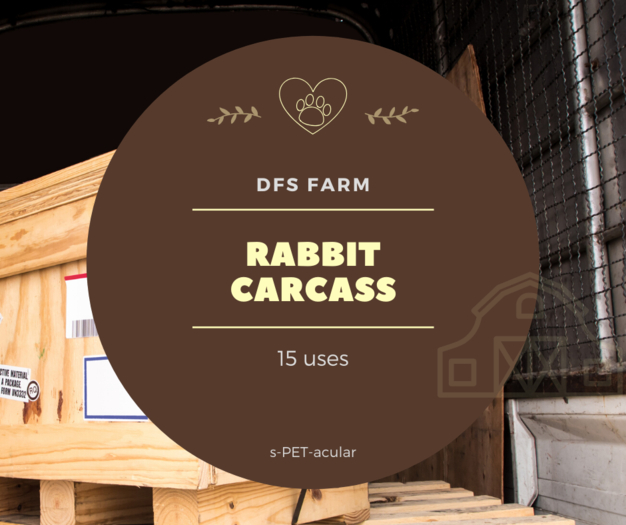 DFS Rabbit Carcass (15)