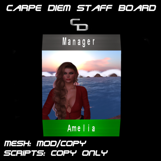 Staff Status Board with 2 Textlines (mesh)