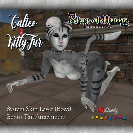 iCandy - Calico Kitty Fur