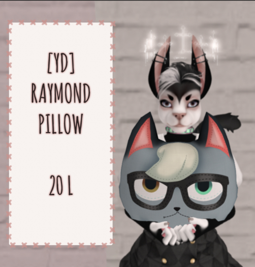 [YD] Raymond Pillow