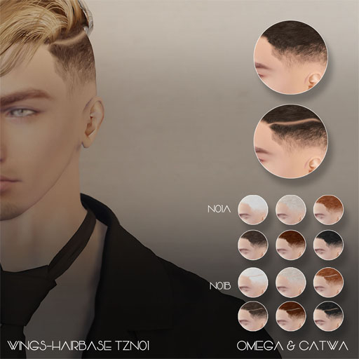 WINGS-Hairbase TZN01 (Pack)
