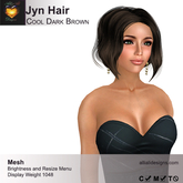 A&A Jyn Hair Cool Dark Brown, boxed. Casual Updo.
