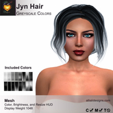 A&A Jyn Hair Greyscale Colors, boxed. Casual Updo.