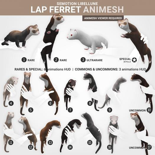 SEmotion Libellune Lap Ferret Animesh #1 RARE