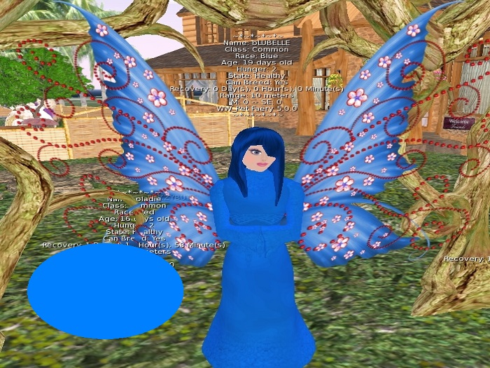 Blue Fairy common egg