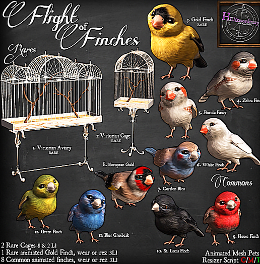 1. *HEXtraordinary* Victorian Finch Aviary - RARE