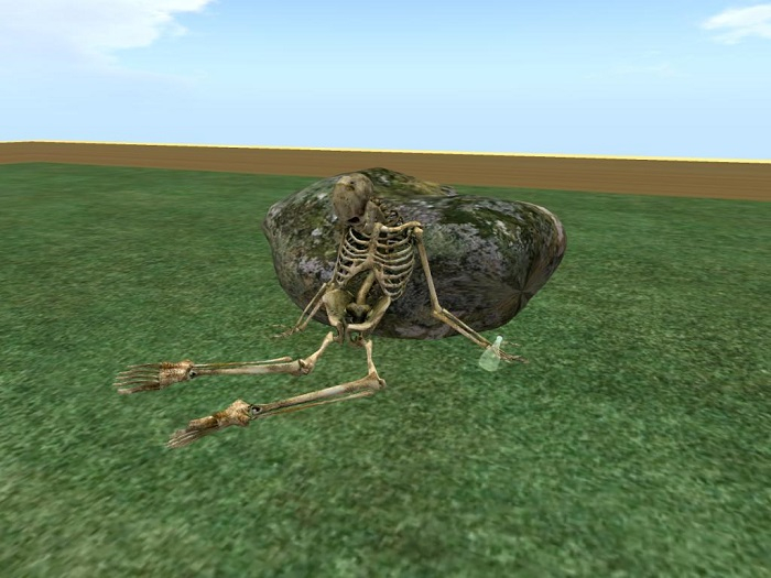 Rock 1 w/ skeleton
