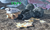 Trash%2001