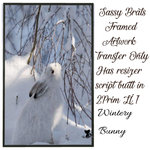 Wintery Bunny
