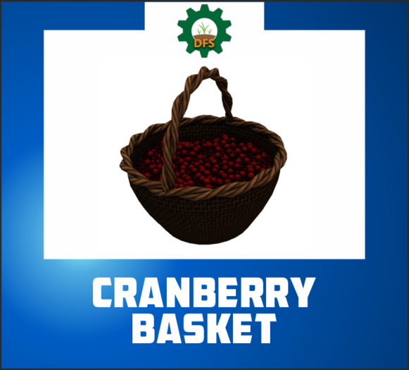 DFS CRANBERRY BASKET (texture)