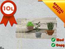 :TWF: Wall Decor