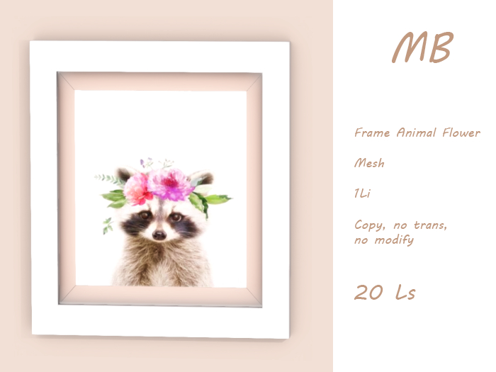 MB box - Frame Raccoon Raton Laveur