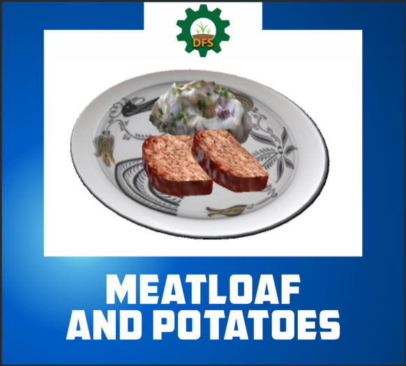 DFS MEATLOAF AND POTATOES (texture)