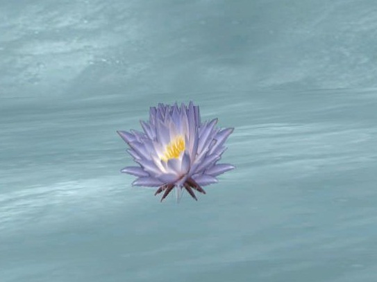 fleur lotus