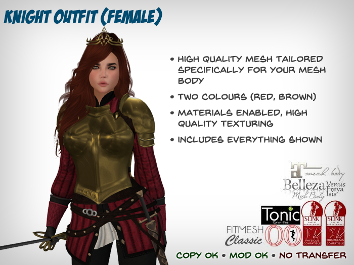 Fantasy Knight Outfit (Female)
