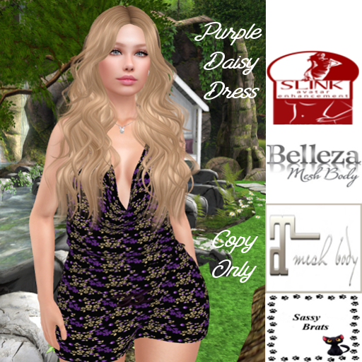 *SB* Purple Daisy Dress Boxed