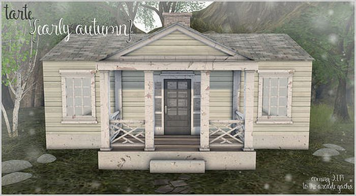 tarte. autumn cottage RARE
