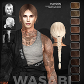 Wasabi // Hayden Mesh Hair - Browns