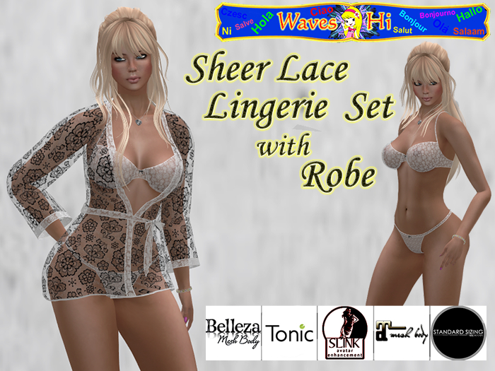 Sheer Lace Lingerie set with Robe (C)