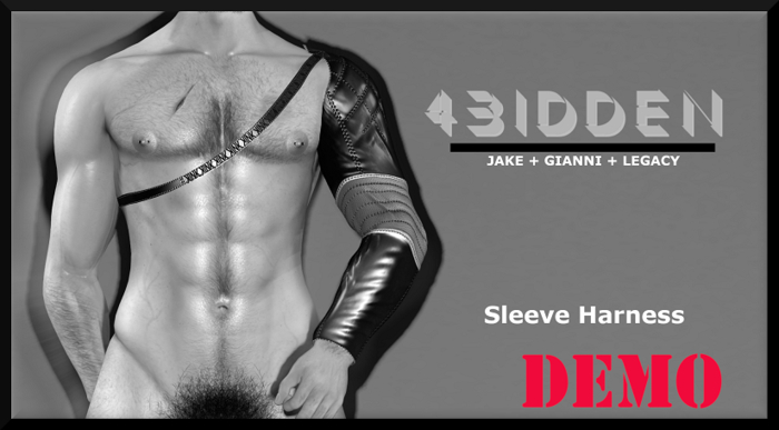 .::4BIDDEN::. Sleeve Harness DEMO