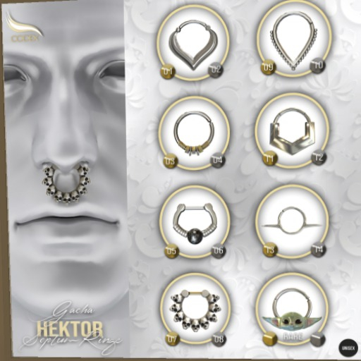 09 CODEX_HEKTOR Septum ring n.9