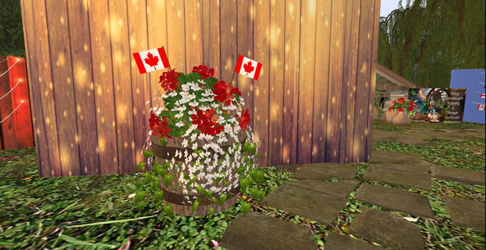 Victoria Day Flowers