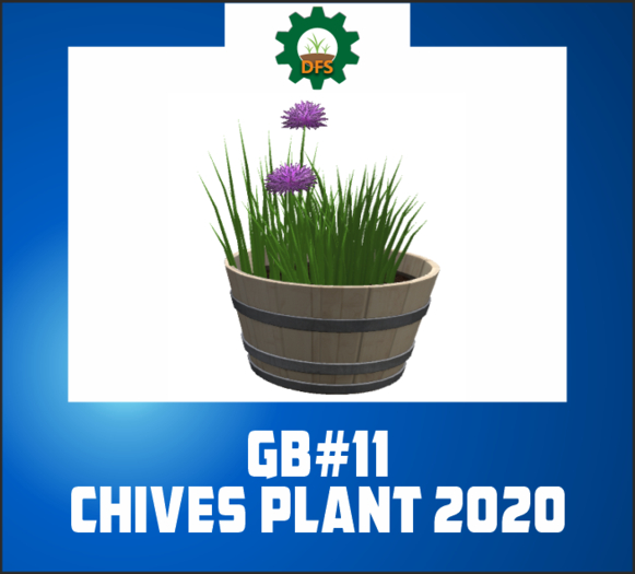 DFS GB#11 CHIVES PLANT 2020 (texture)
