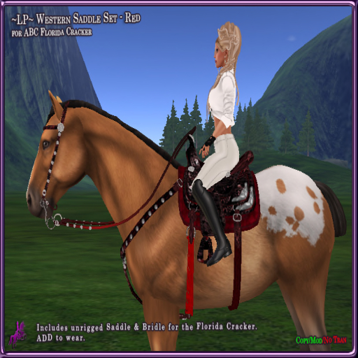 ~LP~ Western Show Saddle Set ABC Fl Cracker (boxed)  Red