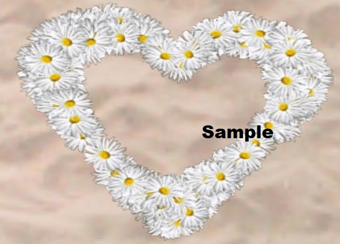 Heart Of White Daisies