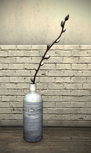 24_8f8 - Art of Nature - Goat Willow Box
