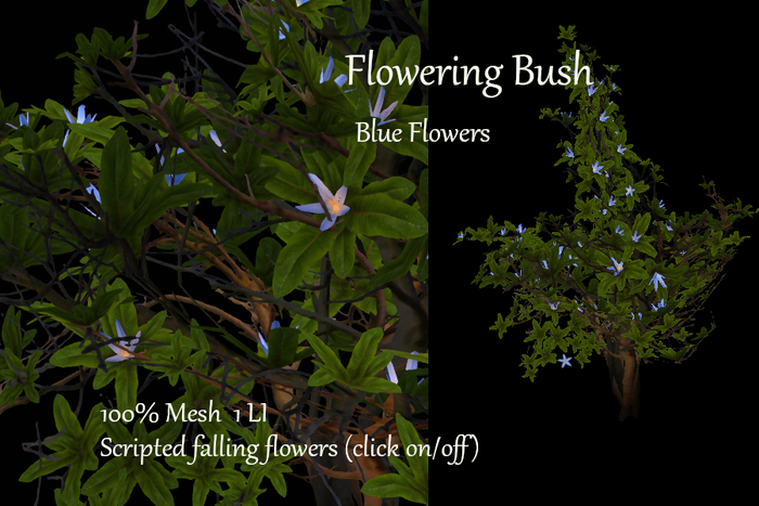 Aguas Bush with Blue Flowers Box