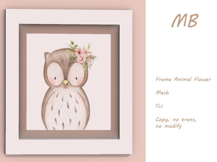 MB box - Frame Baby Owl Flowers