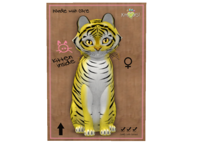 KittyCatS Box - - F - Tiger! Tiger! Yellow