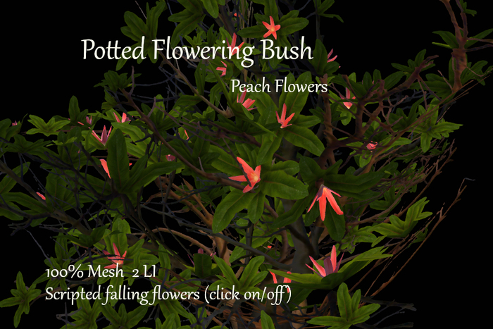 Aguas Potted Plant w Peach Flowers Box